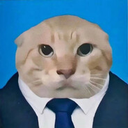 哈气咪