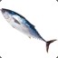 TunaFish