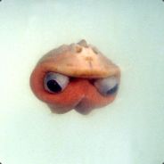 ZoTiLuS - steam id 76561197970826537