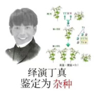 绎演丁真 鉴定为：杂合