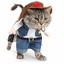 cowboy cat