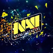 NaVi