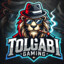 TolgAbi