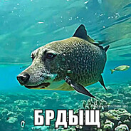 Амир умер - steam id 76561199238955308