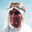 T. E. Lawrence