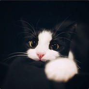 303917925
