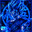 saiyajin blue