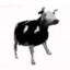 mr cow