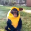 Monkey