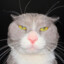 stinkmeister