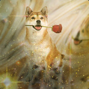 Doggo
