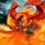 im3.phirebird