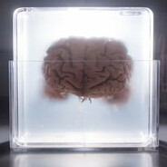 цифровой ангел