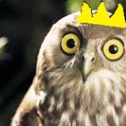 Owl King - steam id 76561197961186717