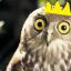 Owl King