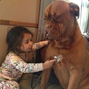 耗子扛刀一路追猫