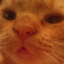 Prince Goober