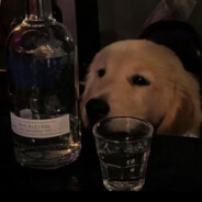 树下逆子跪守其父