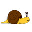 Snail