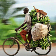 奥德彪（AAA～香蕉运输