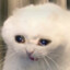 Silly_little_guy