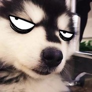 重生我在异世界当男同