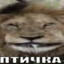 птичка