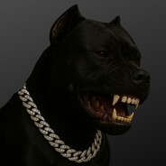 r3in - steam id 76561198136944663