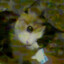 Znakomiy Avatar of player Znakomiy