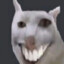 RandomHuman