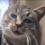 网恋被骗三毛八