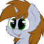 Littlepip