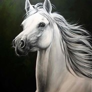 White_Stallion