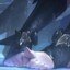 FeetLoverNL's avatar