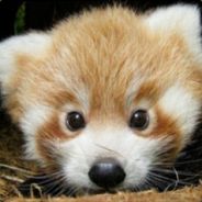 三味线