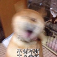 李小璐的假乃亮了