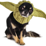 quiggleness avatar