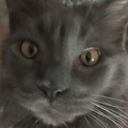 Lixnaa