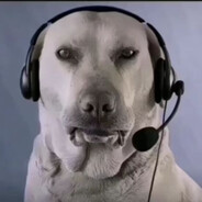 大狗嚼-布鲁斯一号