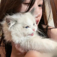 不要打我好不好