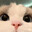 AaaAaaaAa