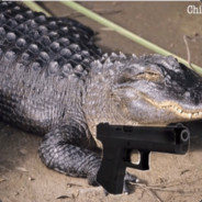 Croco