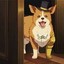 Colonel Corgs