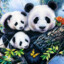 Rares Panda