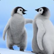 匹配游戏不进来的吃屎