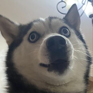 上海少妇鲍槽成都南通