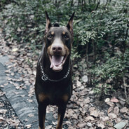 问你五个真心话