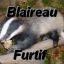 Blaireau Furtif