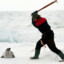 Seal Clubber