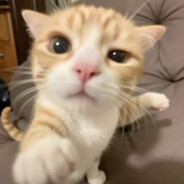 Czit0ss